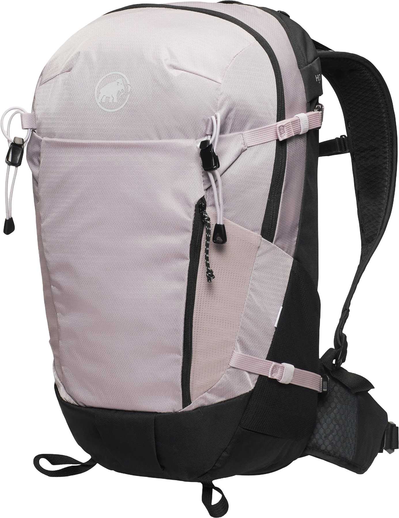 Alpine Calamint - Black