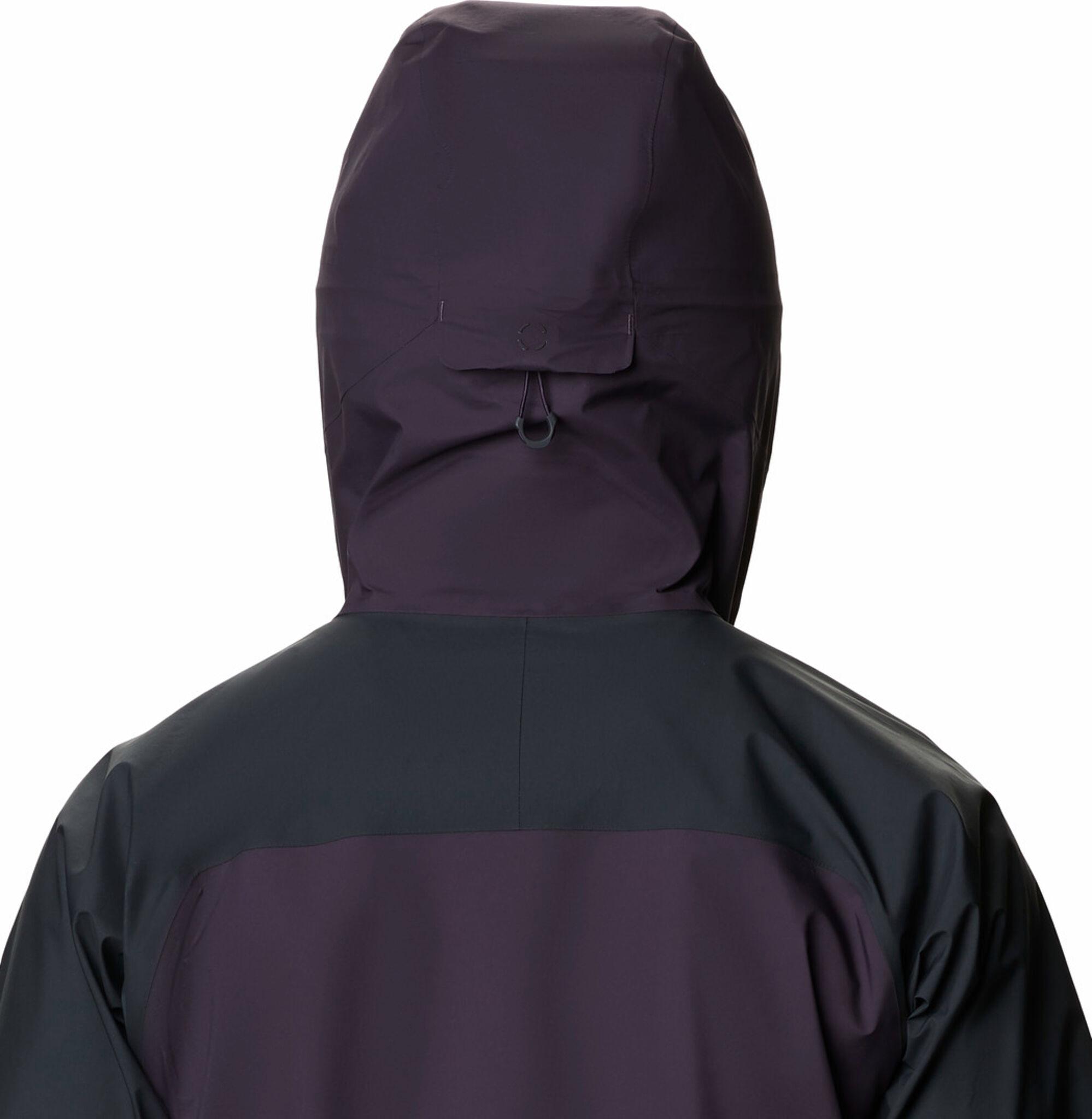 Product gallery image number 3 for product The Viv Gore-Tex Pro Jacket - Men's