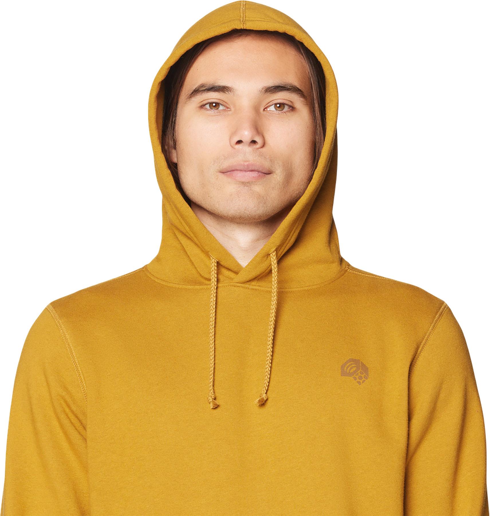 Product gallery image number 3 for product Tri-Color Logo Hoody - Men's