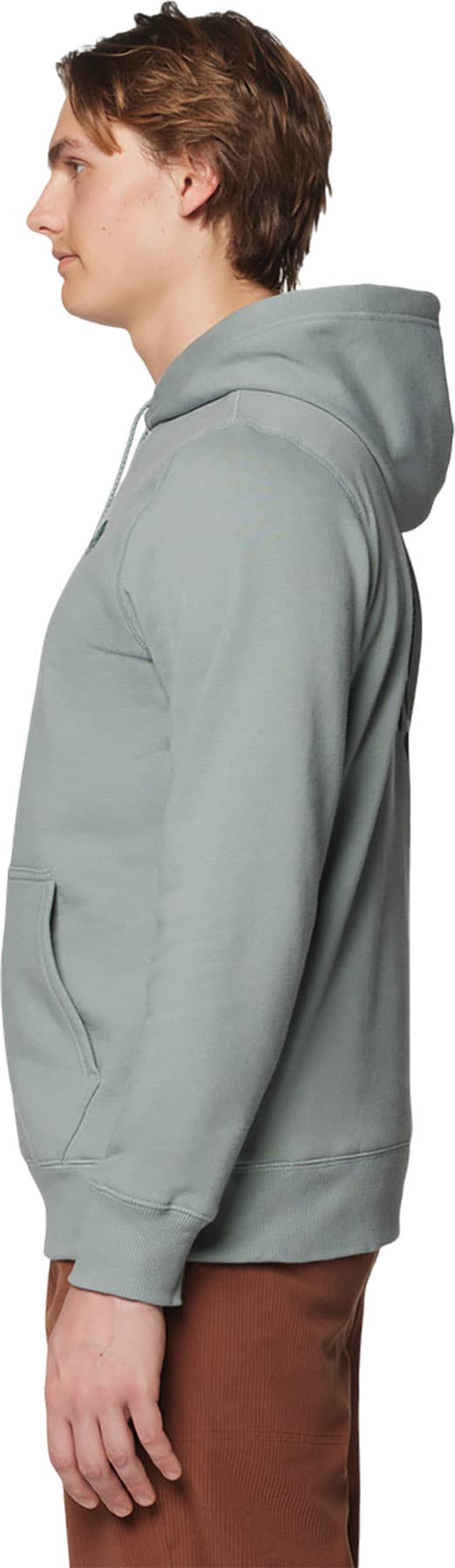 Numéro de l'image de la galerie de produits 5 pour le produit Chandail à capuchon à logo tricolore - Homme