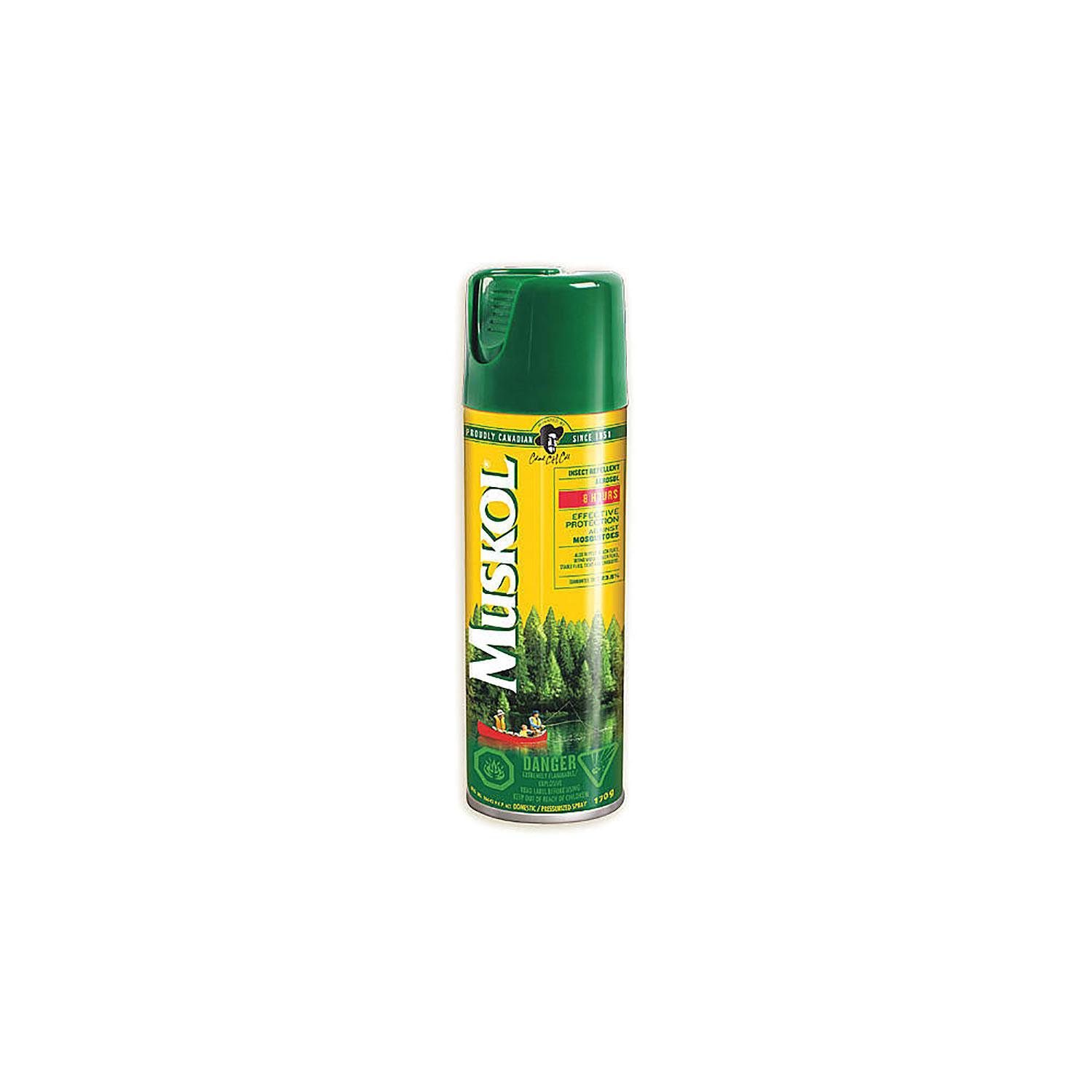 Product gallery image number 1 for product Insect Repellent Aerosol 170 g