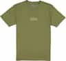 Colour: Fern