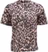 Colour: Rock Leopard