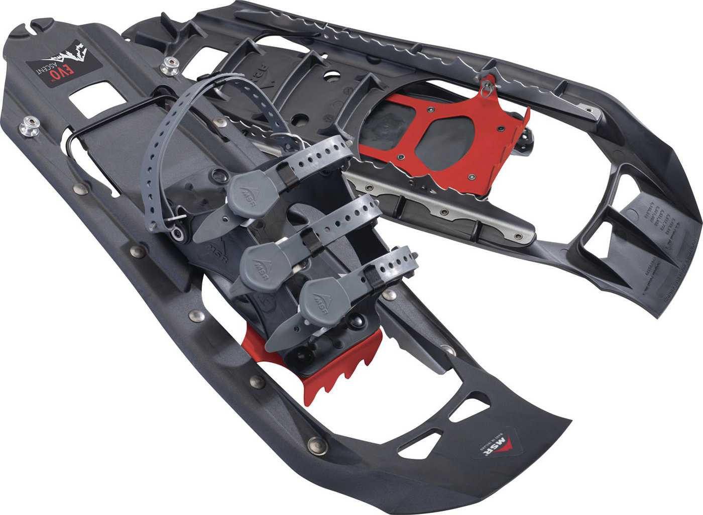 Product image for Evo Ascent 22