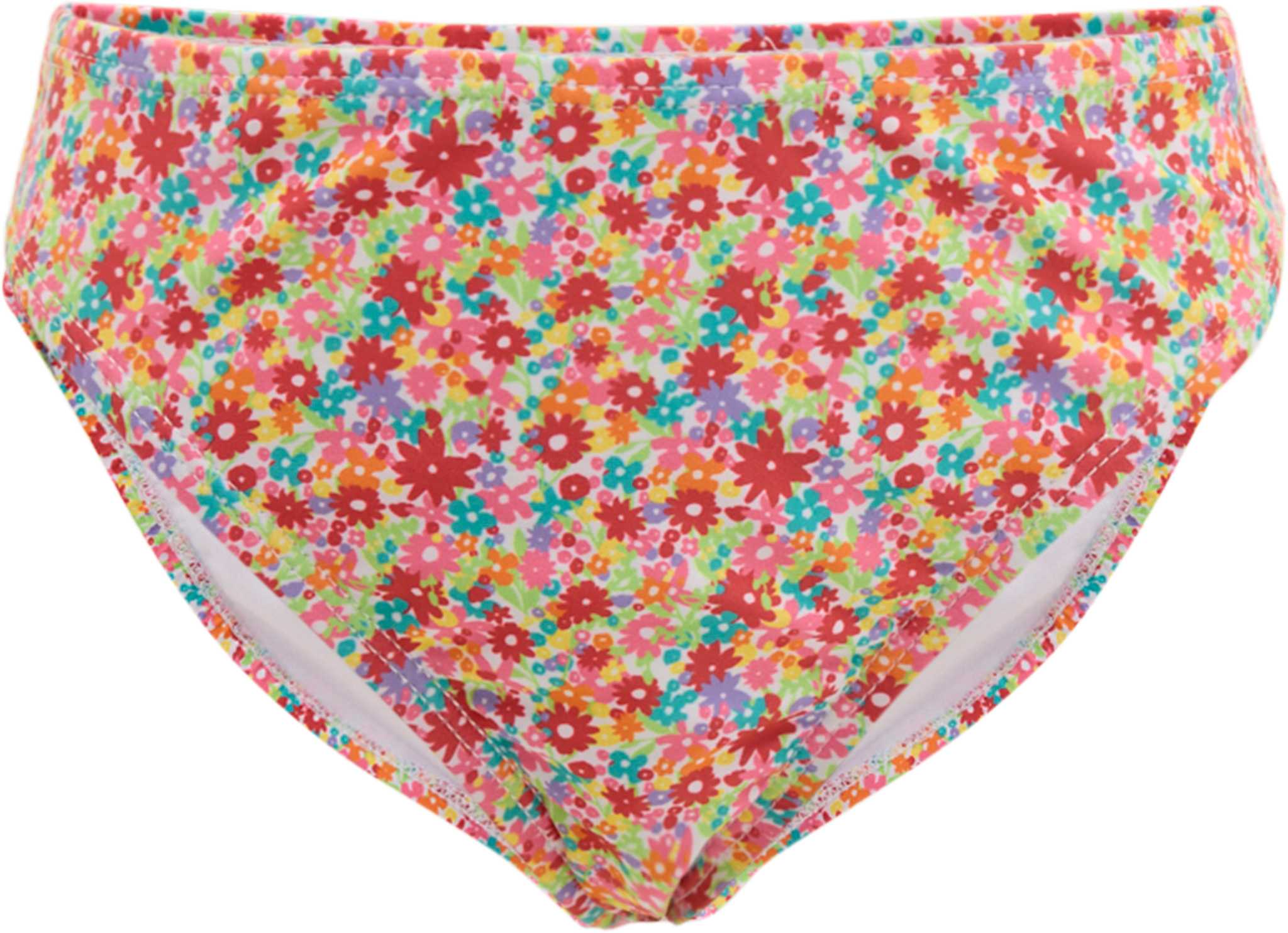 Small Multicolored Flowers