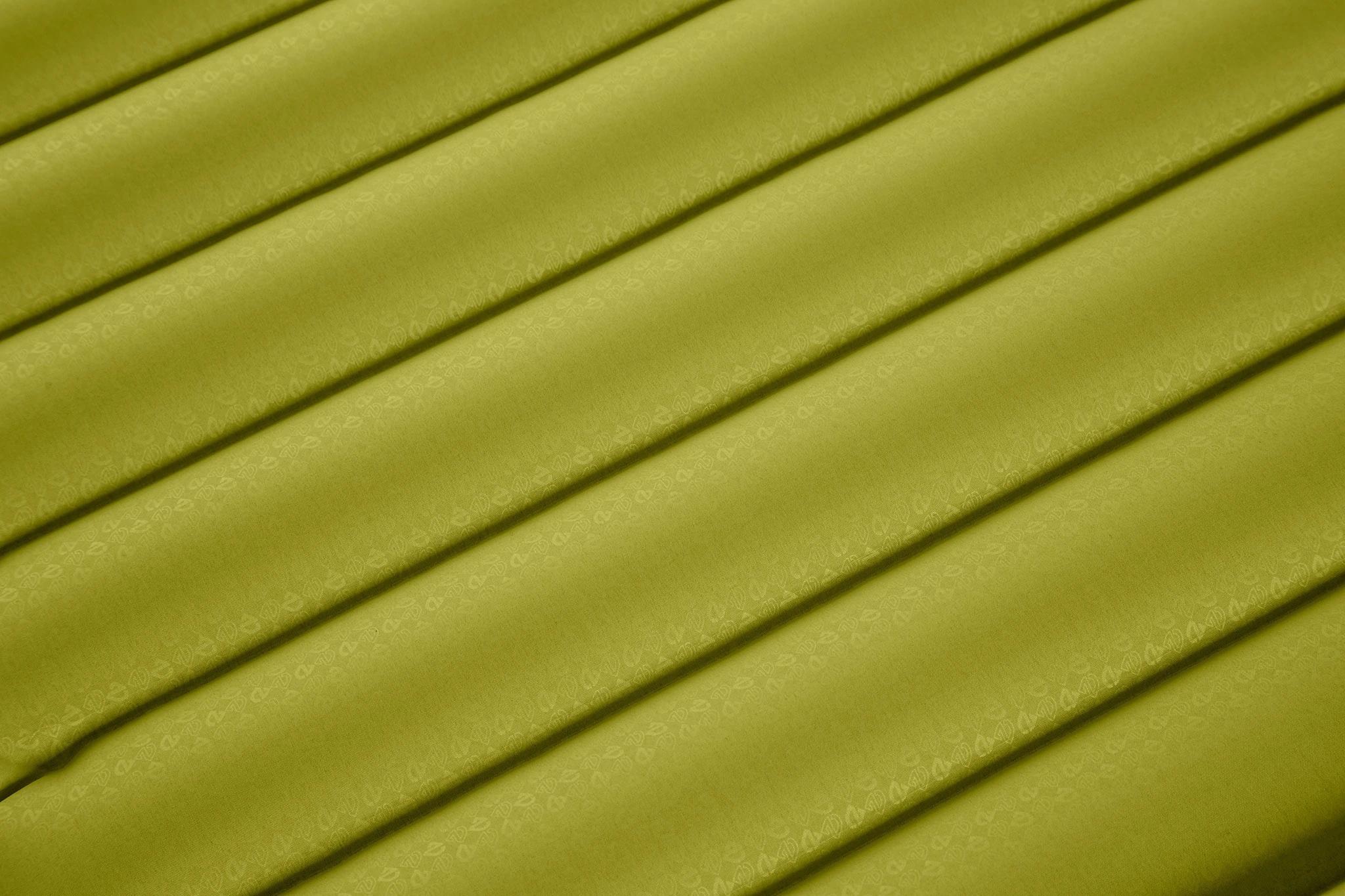 Product gallery image number 2 for product Astro Insulated Long Wide Sleeping Pad