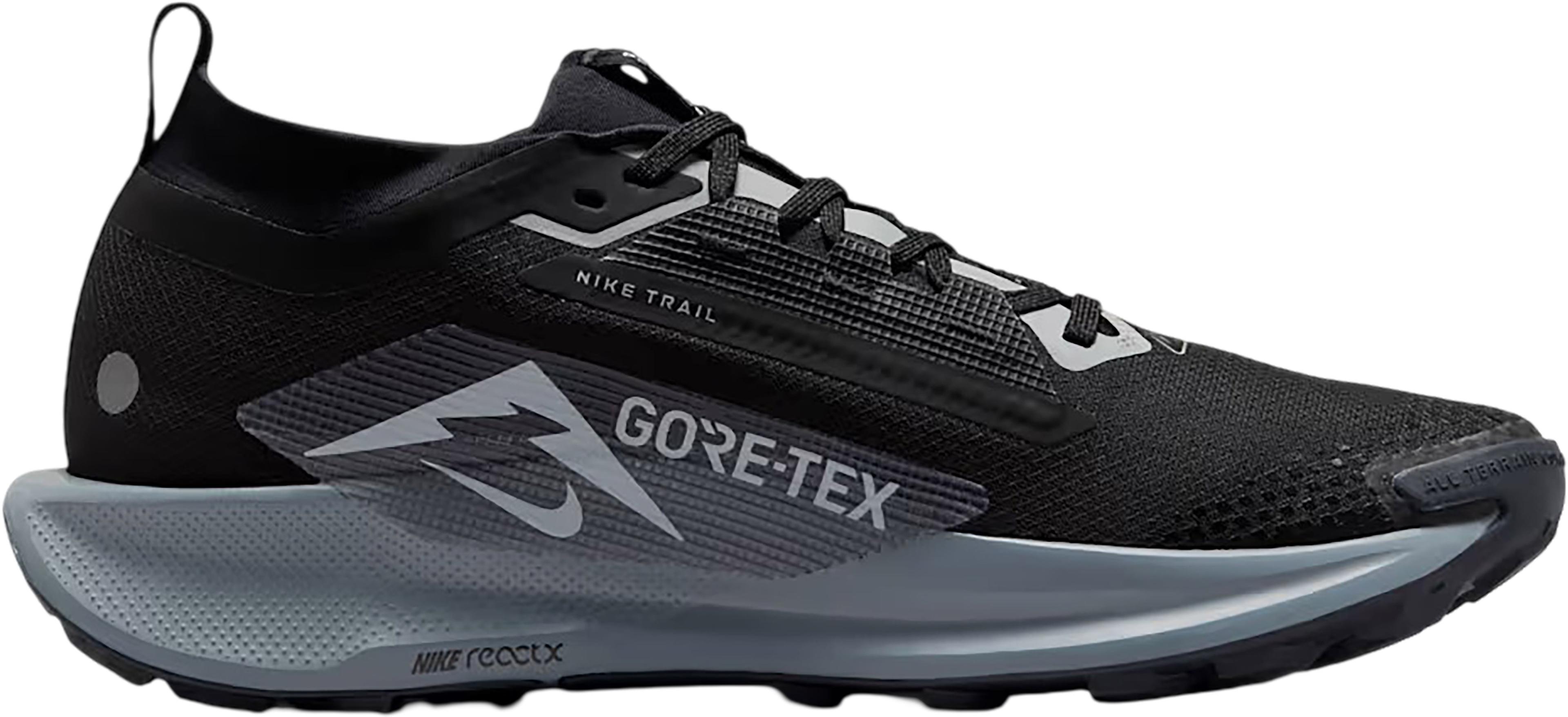 Product image for Pegasus Trail 5 GORE-TEX Trail-Running Shoes - Men's
