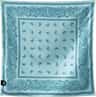 Colour: Paisley Seafoam Green