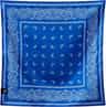 Colour: Paisley Stellar Blue