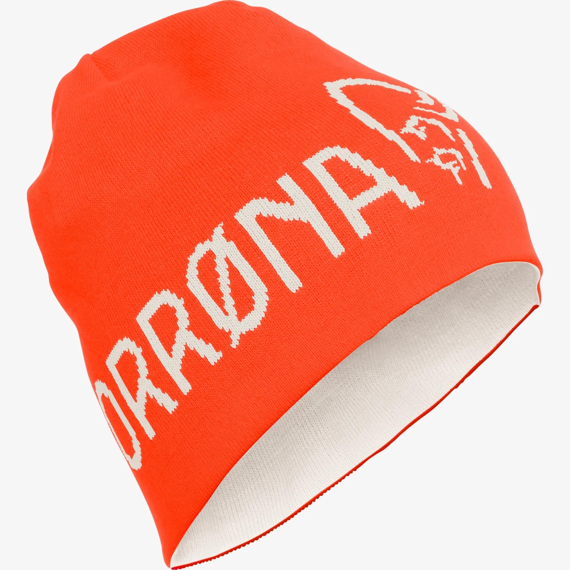 Product gallery image number 1 for product 29 Thin Wool Logo Beanie