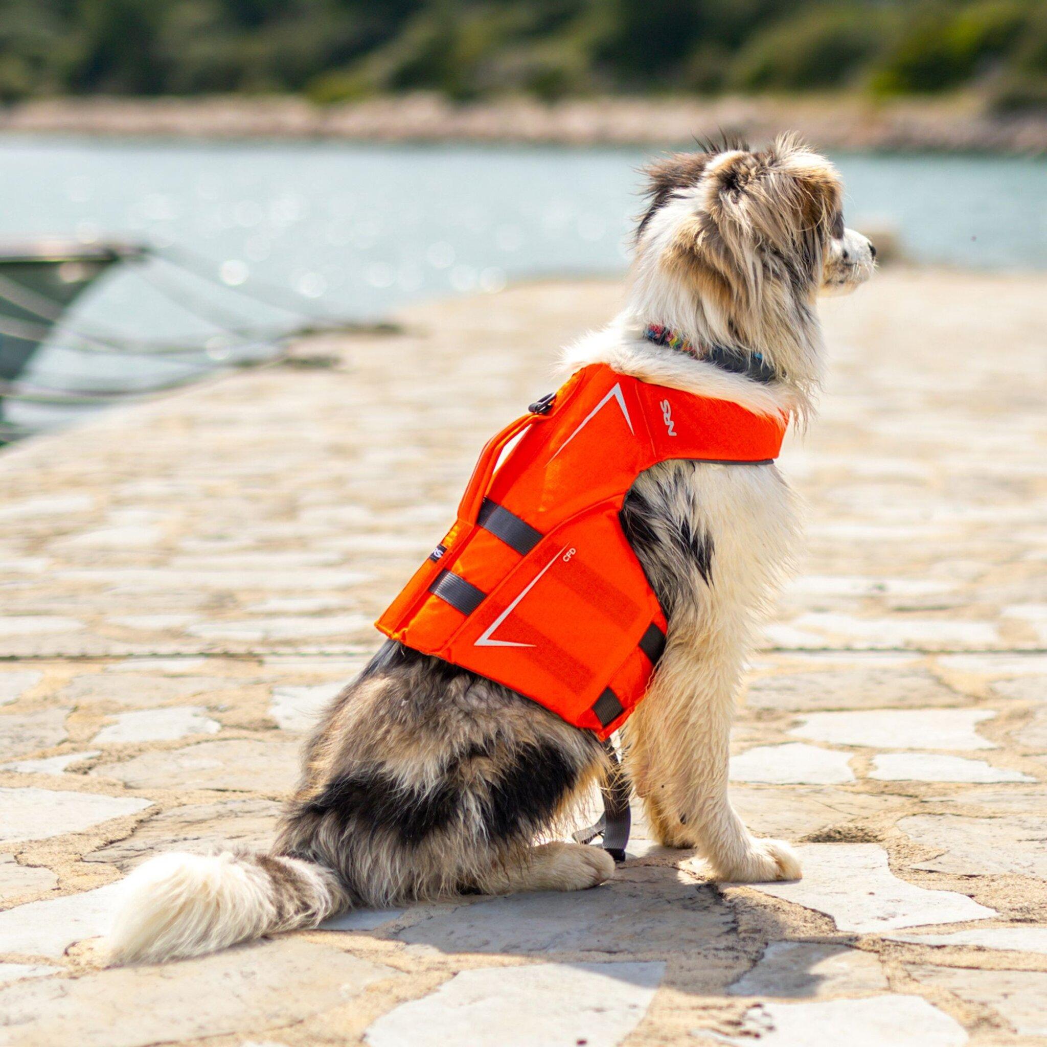 Product gallery image number 8 for product CFD Dog Life Jacket