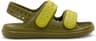 Colour: Rookie Green - Seaweed Green