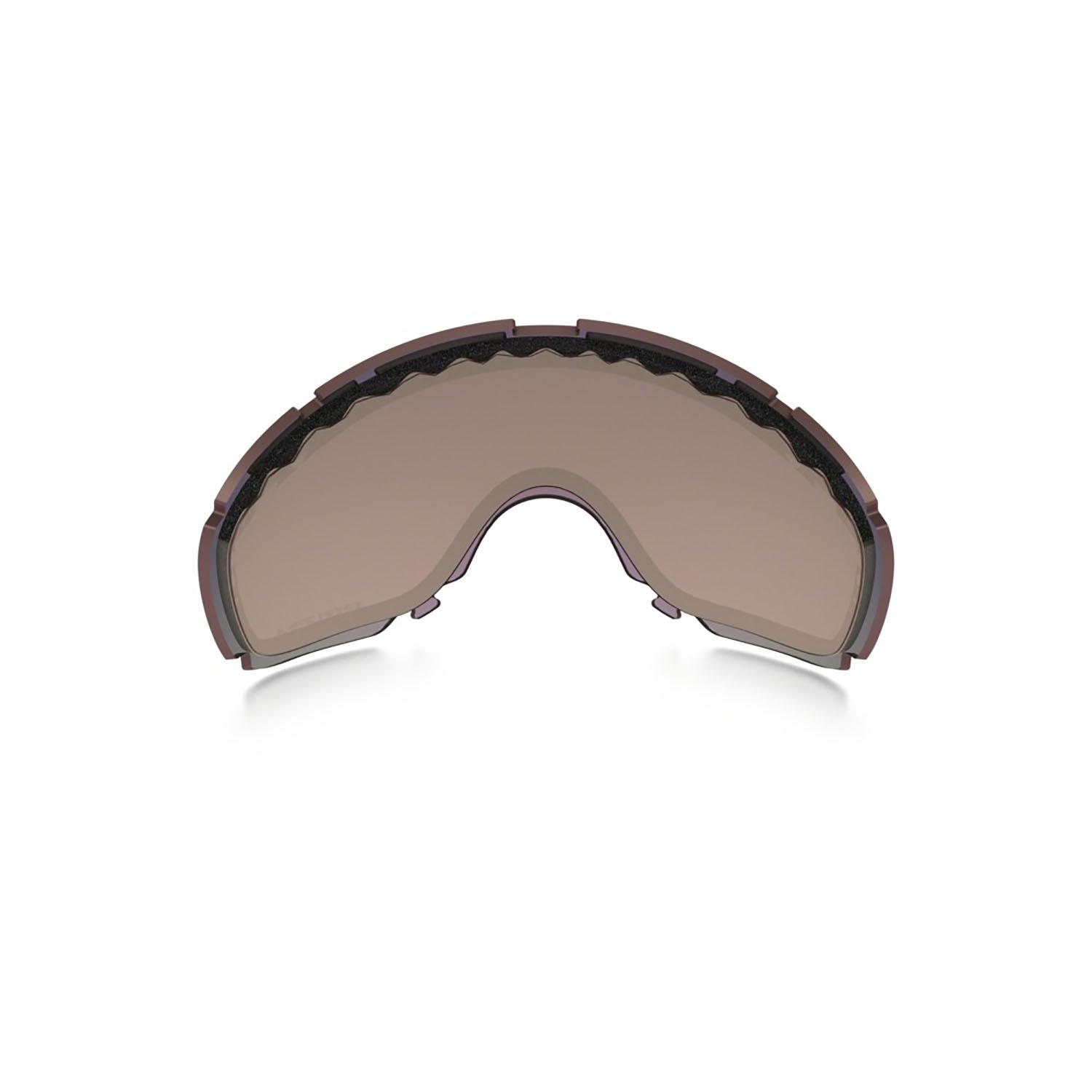 Product gallery image number 4 for product Canopy Replacement Lens Prizm HI Pink Iridium