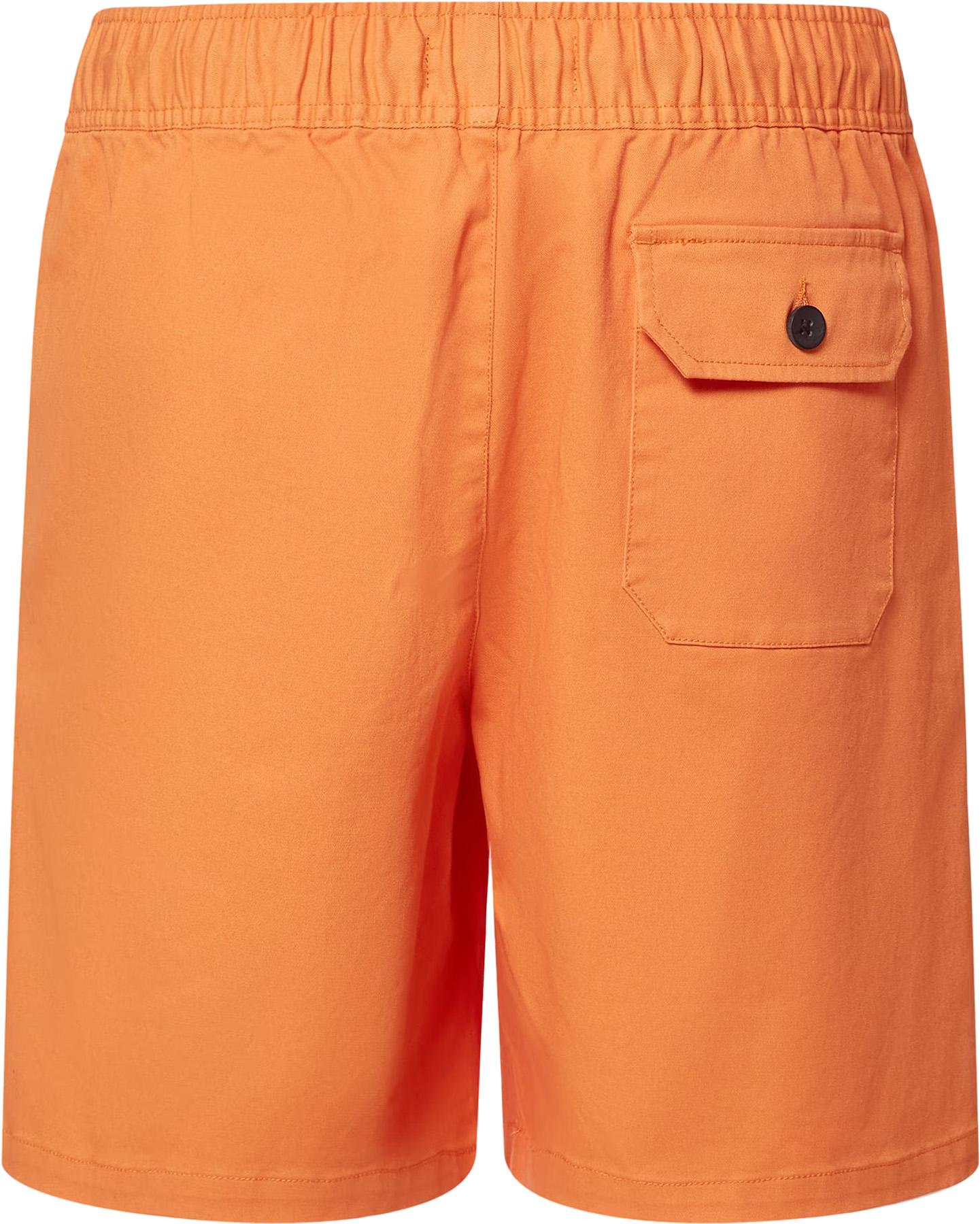 Product gallery image number 2 for product Marine Park Hybrid Shorts 19" - Men's