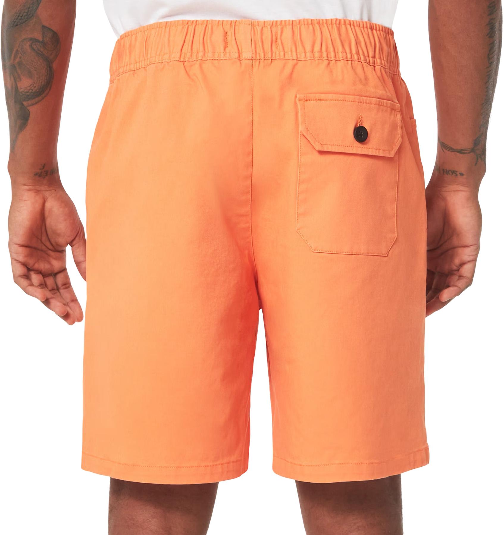 Product gallery image number 3 for product Marine Park Hybrid Shorts 19" - Men's