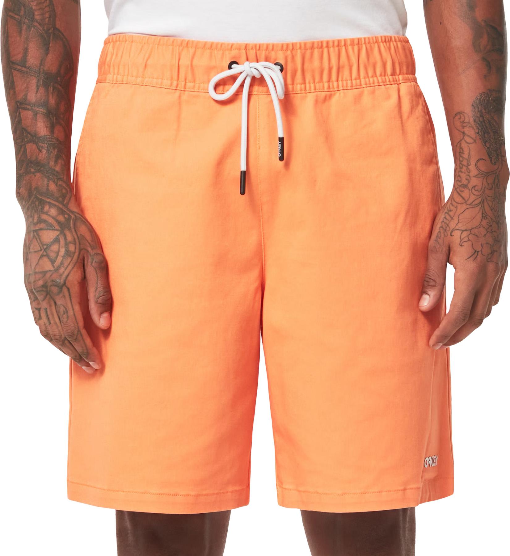Product gallery image number 4 for product Marine Park Hybrid Shorts 19" - Men's