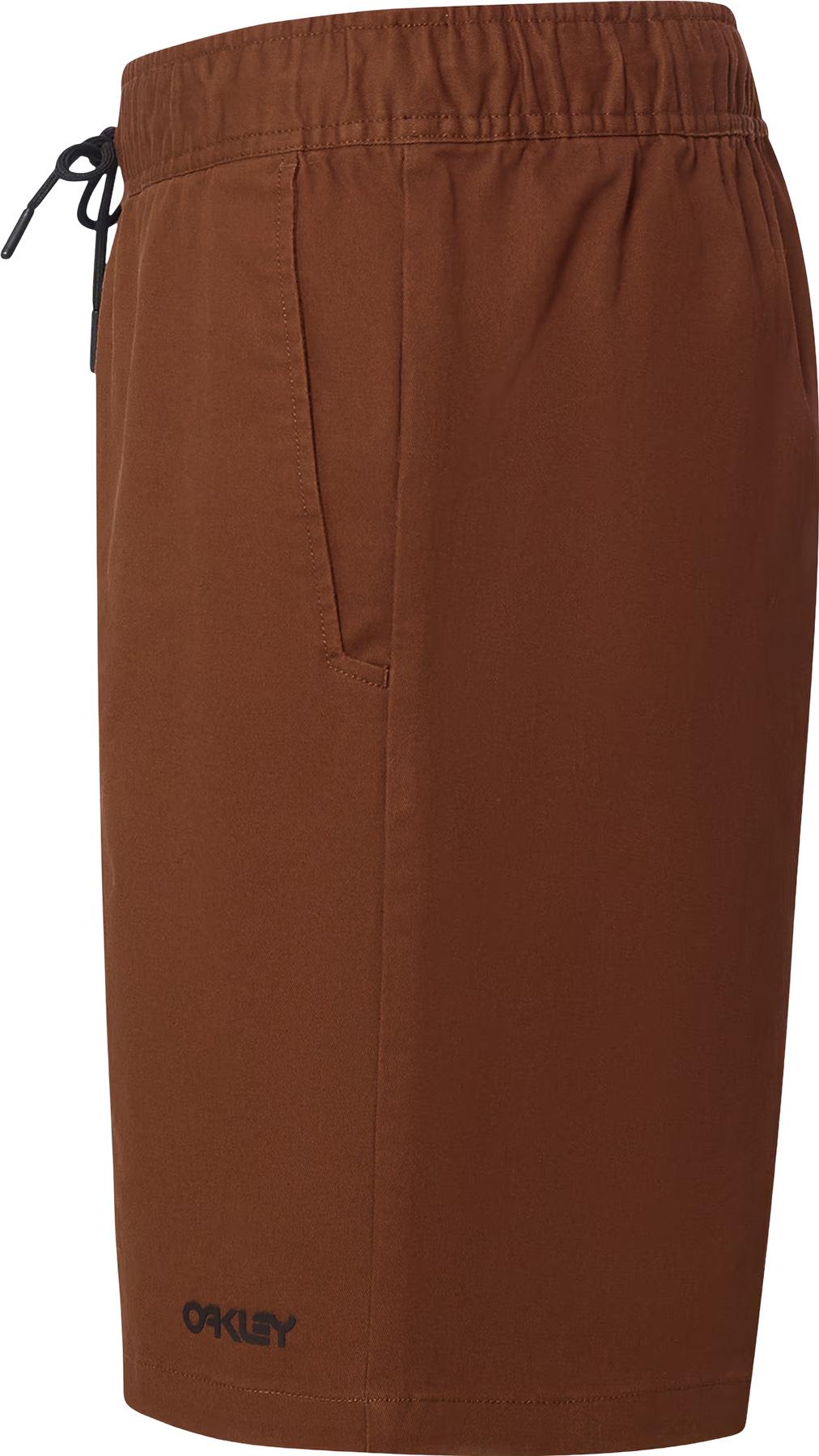 Product gallery image number 7 for product Marine Park Hybrid Shorts 19" - Men's