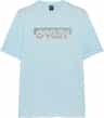Colour: Frost