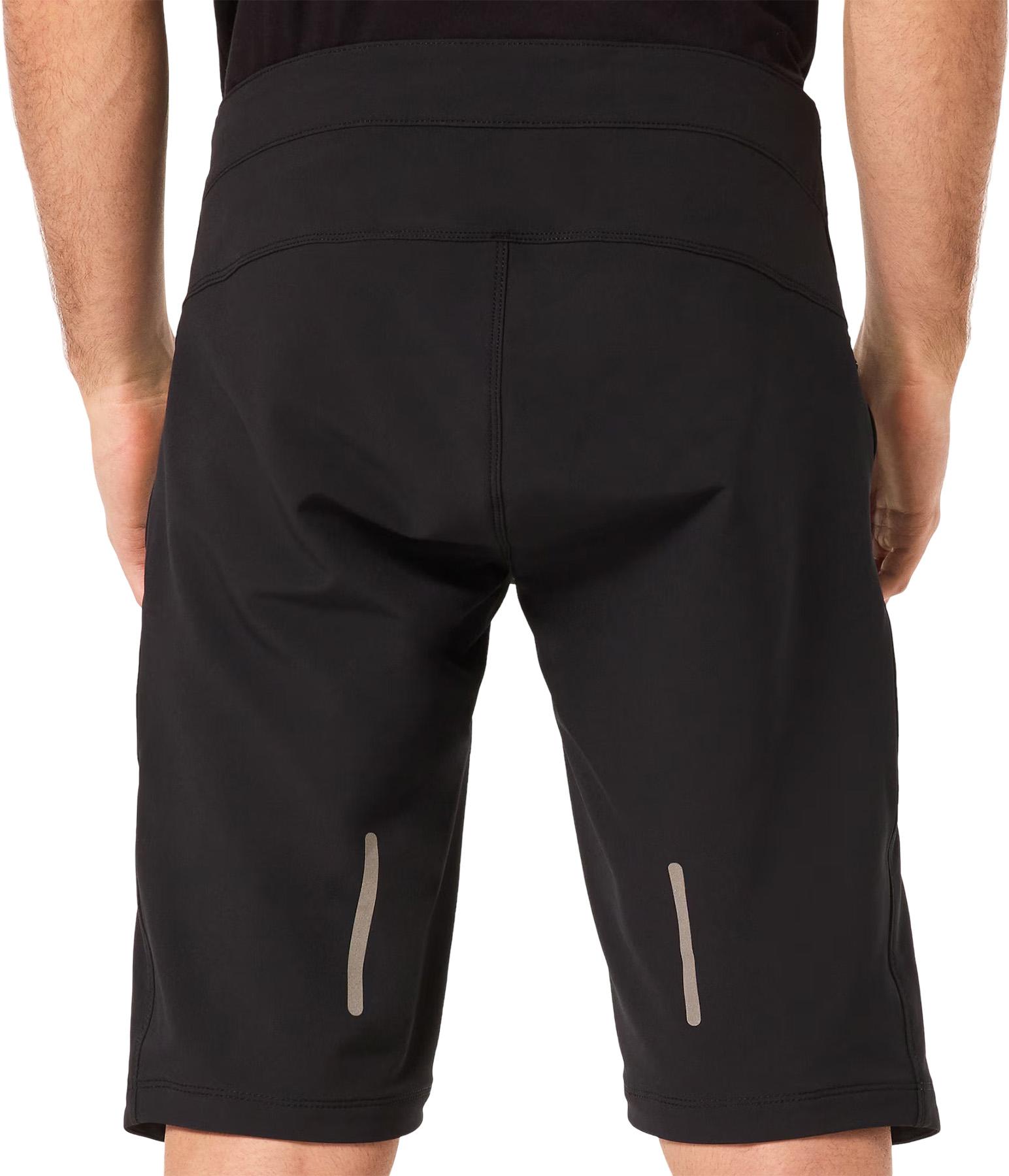 Product gallery image number 3 for product Element Shorts - Men's
