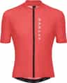 Colour: Paloma