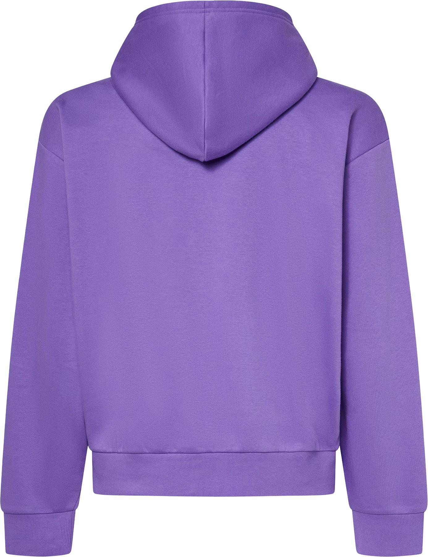 Product gallery image number 3 for product Metal Rise Hoodie - Men's