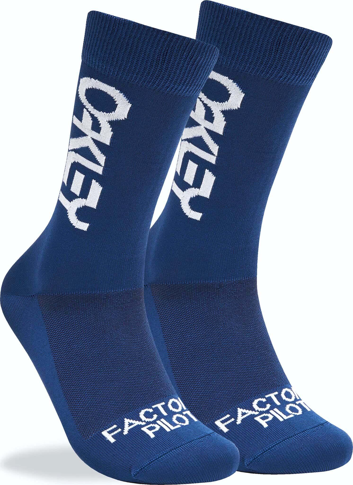 Product gallery image number 1 for product Factory Pilot Mtb Socks - Men's