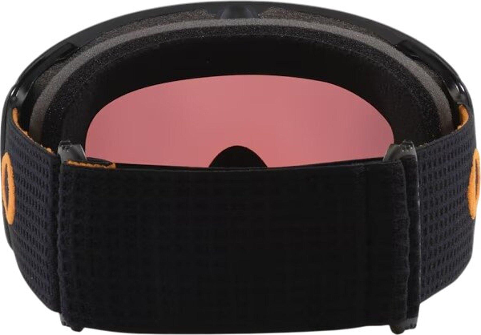 Numéro de l'image de la galerie de produits 2 pour le produit Lunettes de ski Flight Deck L