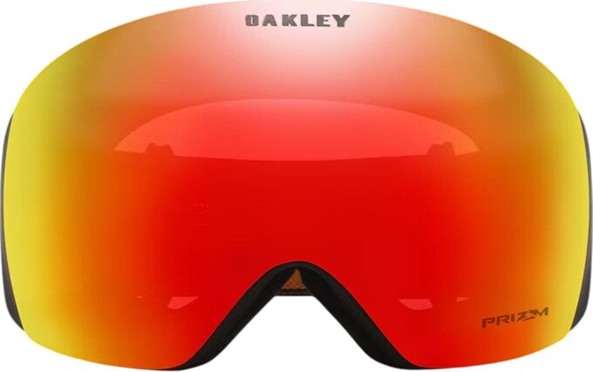 Numéro de l'image de la galerie de produits 3 pour le produit Lunettes de ski Flight Deck L