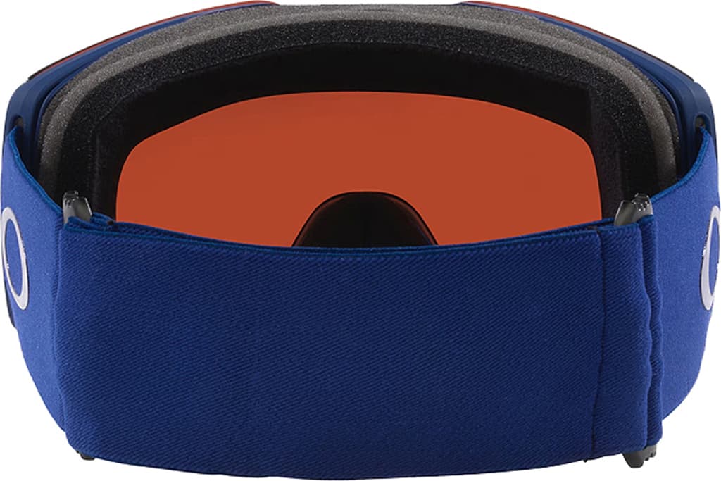 Product gallery image number 3 for product Fall Line L Goggles - Navy - Prizm Snow Sapphire Iridium lens