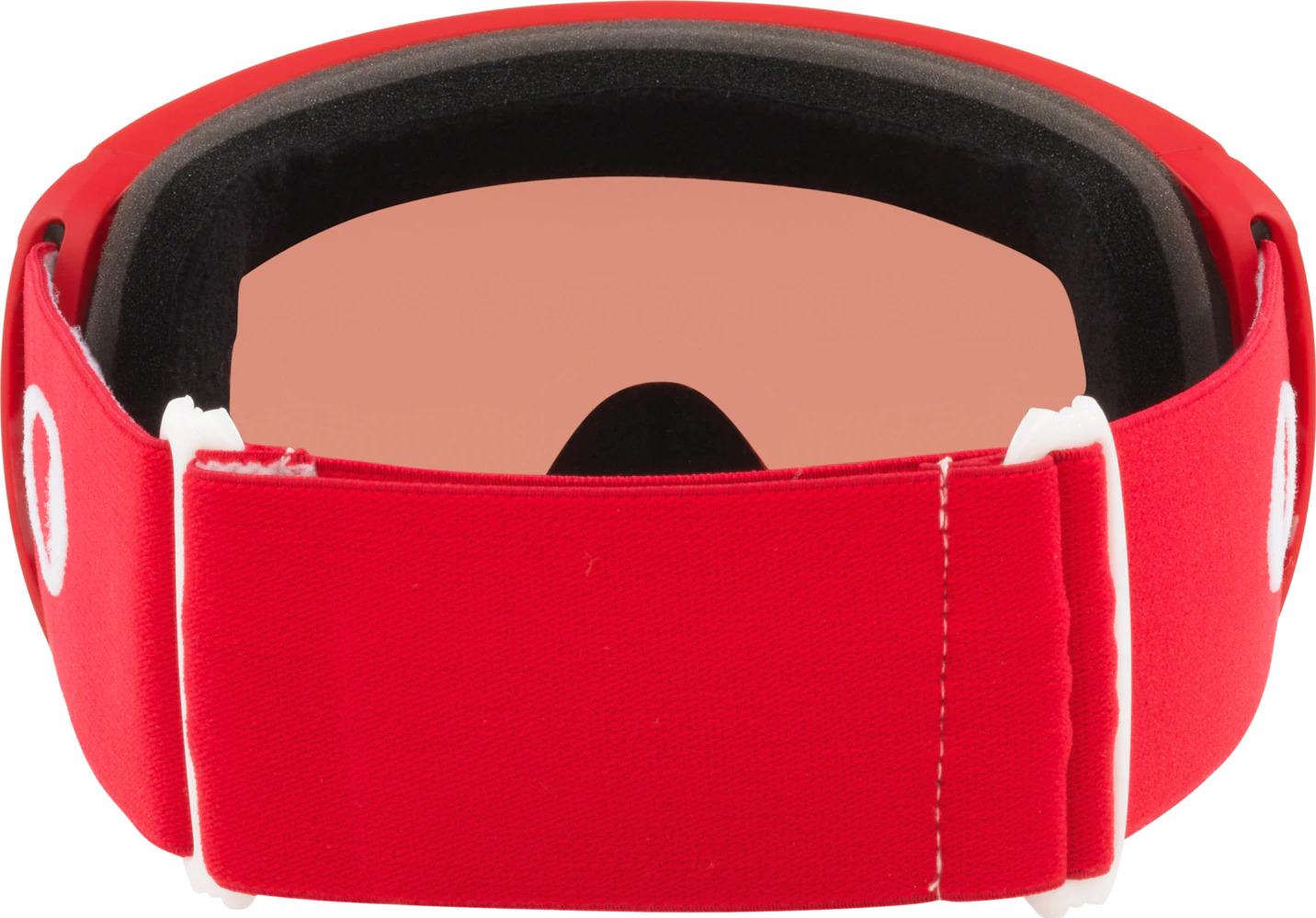 Product gallery image number 4 for product Flight Path L Googles - Redline Strap - Prizm Snow Torch Iridium Lens