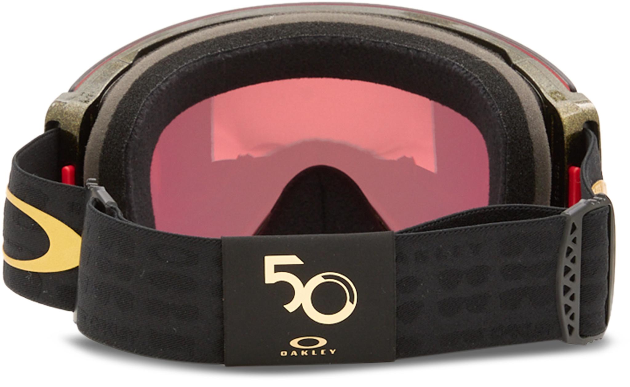 Product gallery image number 4 for product Lunettes de ski Flight Deck Pro 50th Anniversary
