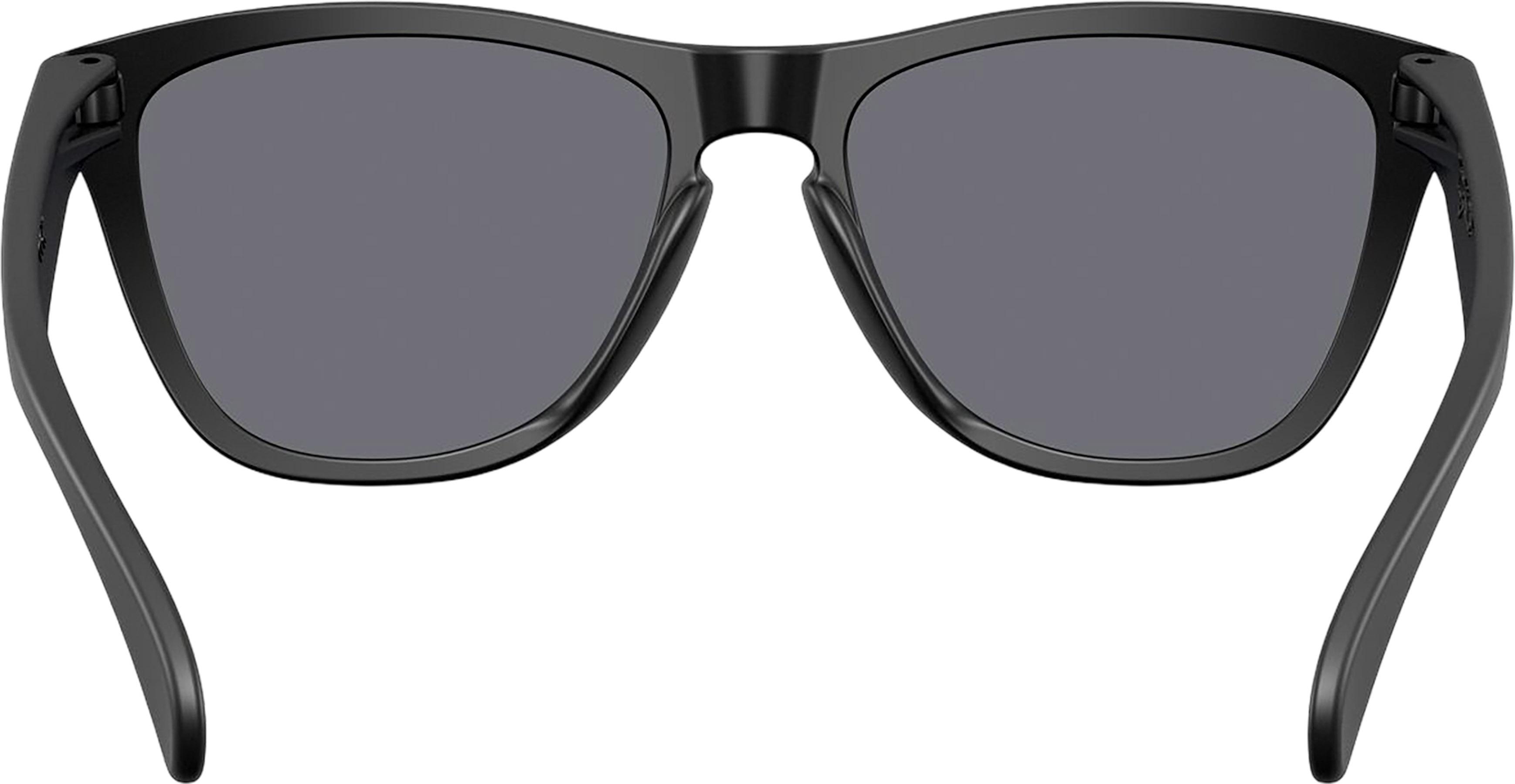 Product gallery image number 3 for product Frogskins Sunglasses
