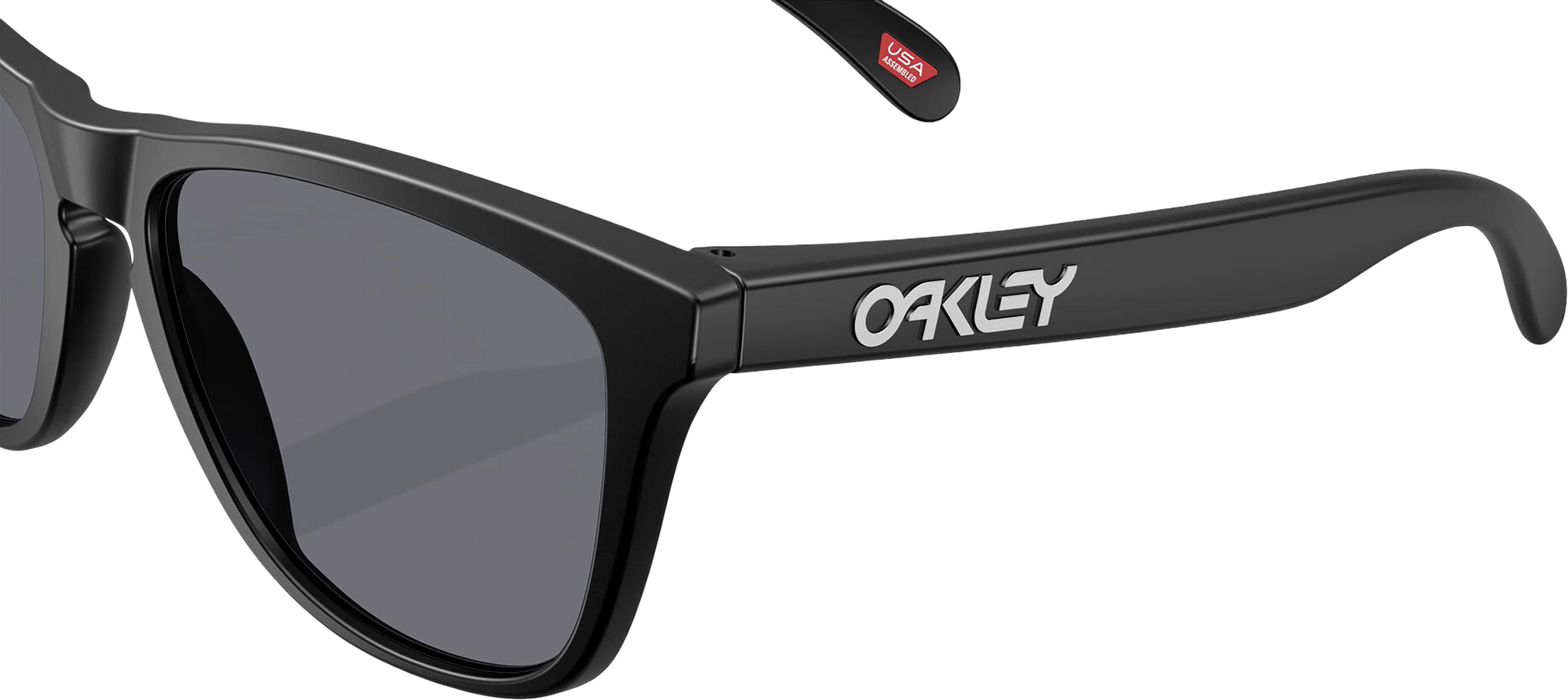 Product gallery image number 4 for product Frogskins Sunglasses