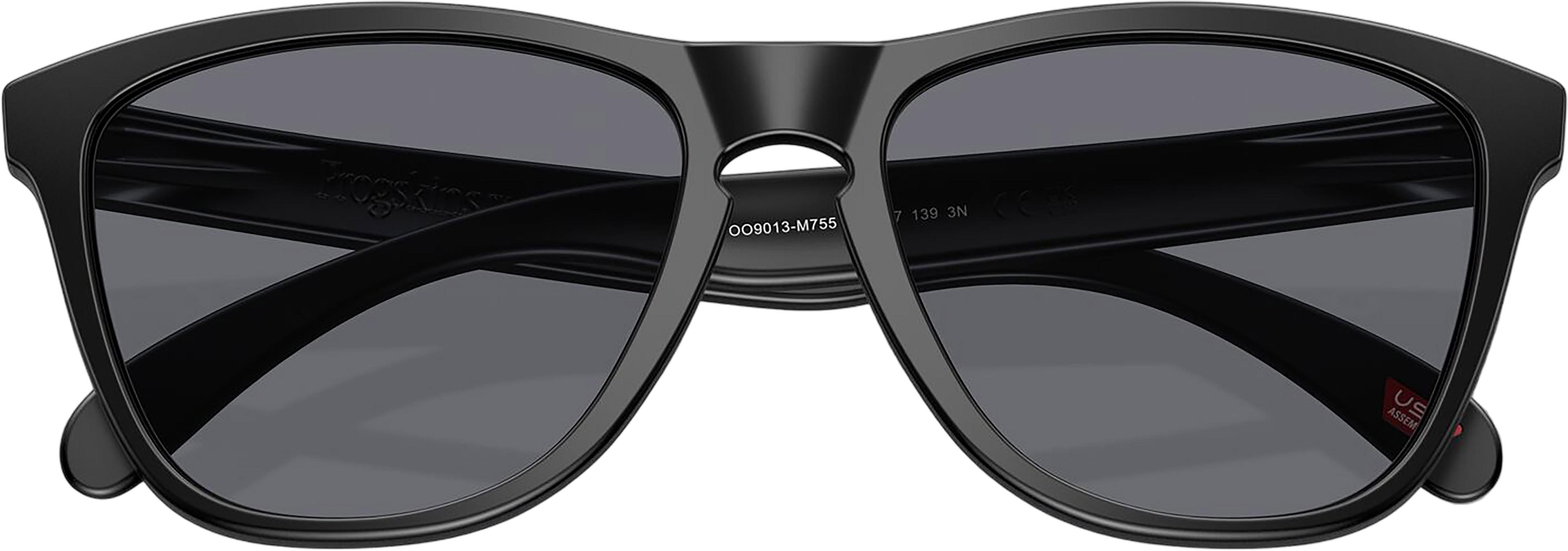 Product gallery image number 5 for product Frogskins Sunglasses