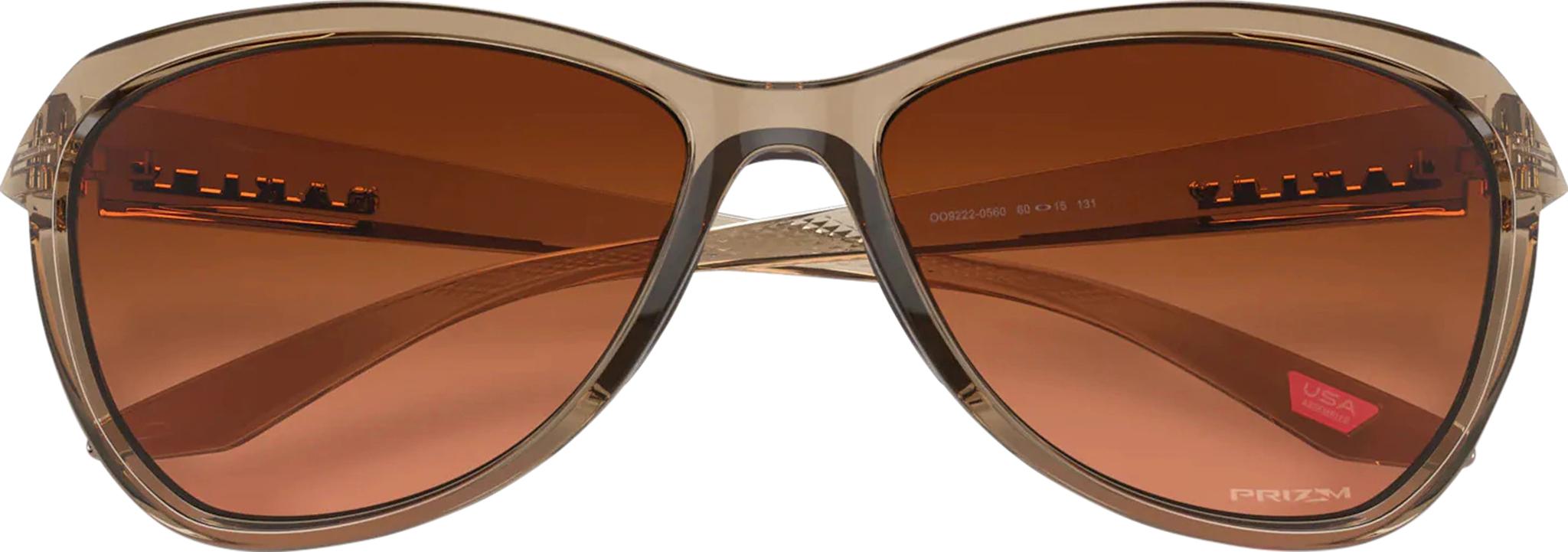 Product gallery image number 10 for product Pasque Sunglasses - Sepia - Prizm Brown Gradient Lens - Unisex