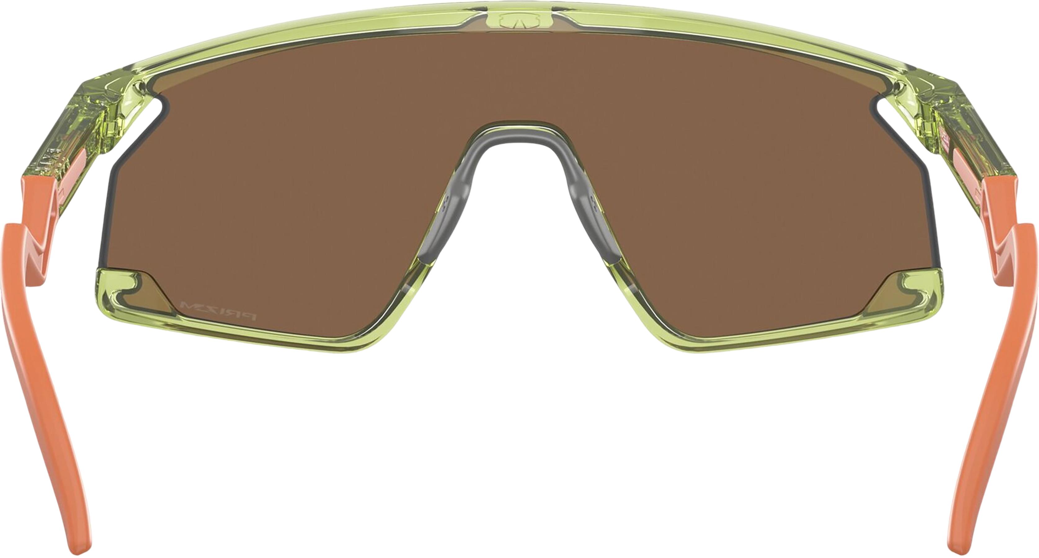 Numéro de l'image de la galerie de produits 3 pour le produit Lunettes de soleil BXTR Coalesce - Transparent Fern - Lentilles Prizm Bronze - Unisexe