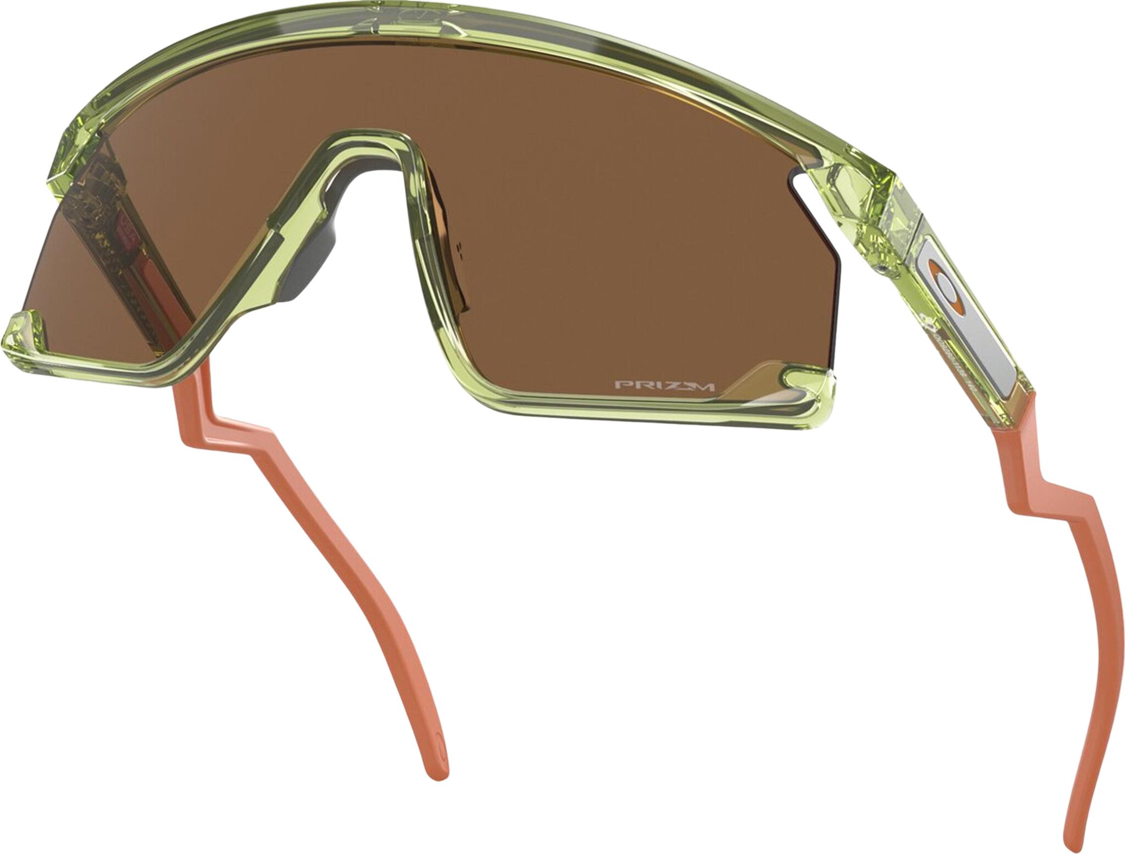 Numéro de l'image de la galerie de produits 4 pour le produit Lunettes de soleil BXTR Coalesce - Transparent Fern - Lentilles Prizm Bronze - Unisexe