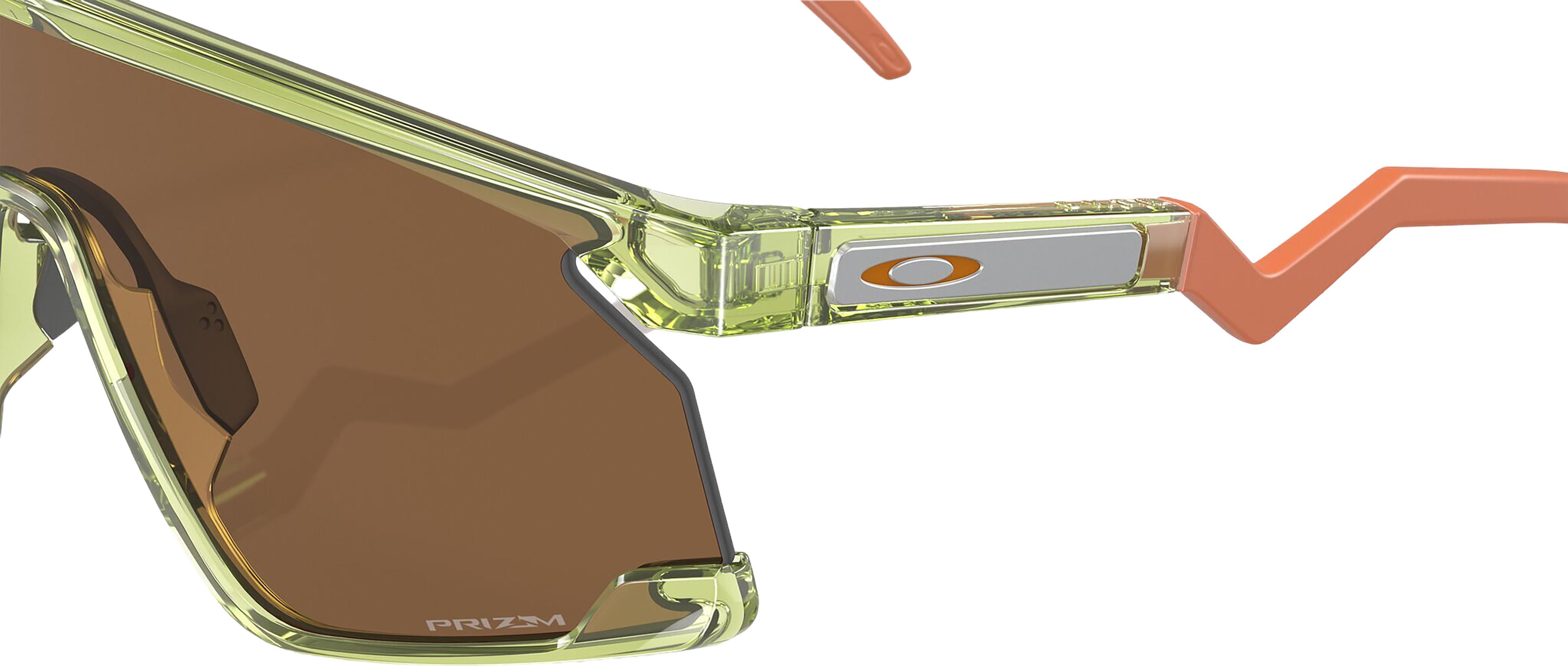 Numéro de l'image de la galerie de produits 6 pour le produit Lunettes de soleil BXTR Coalesce - Transparent Fern - Lentilles Prizm Bronze - Unisexe