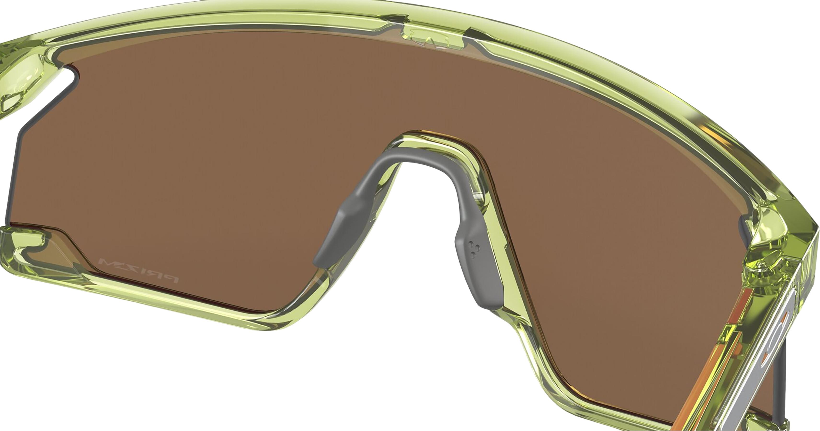 Numéro de l'image de la galerie de produits 8 pour le produit Lunettes de soleil BXTR Coalesce - Transparent Fern - Lentilles Prizm Bronze - Unisexe