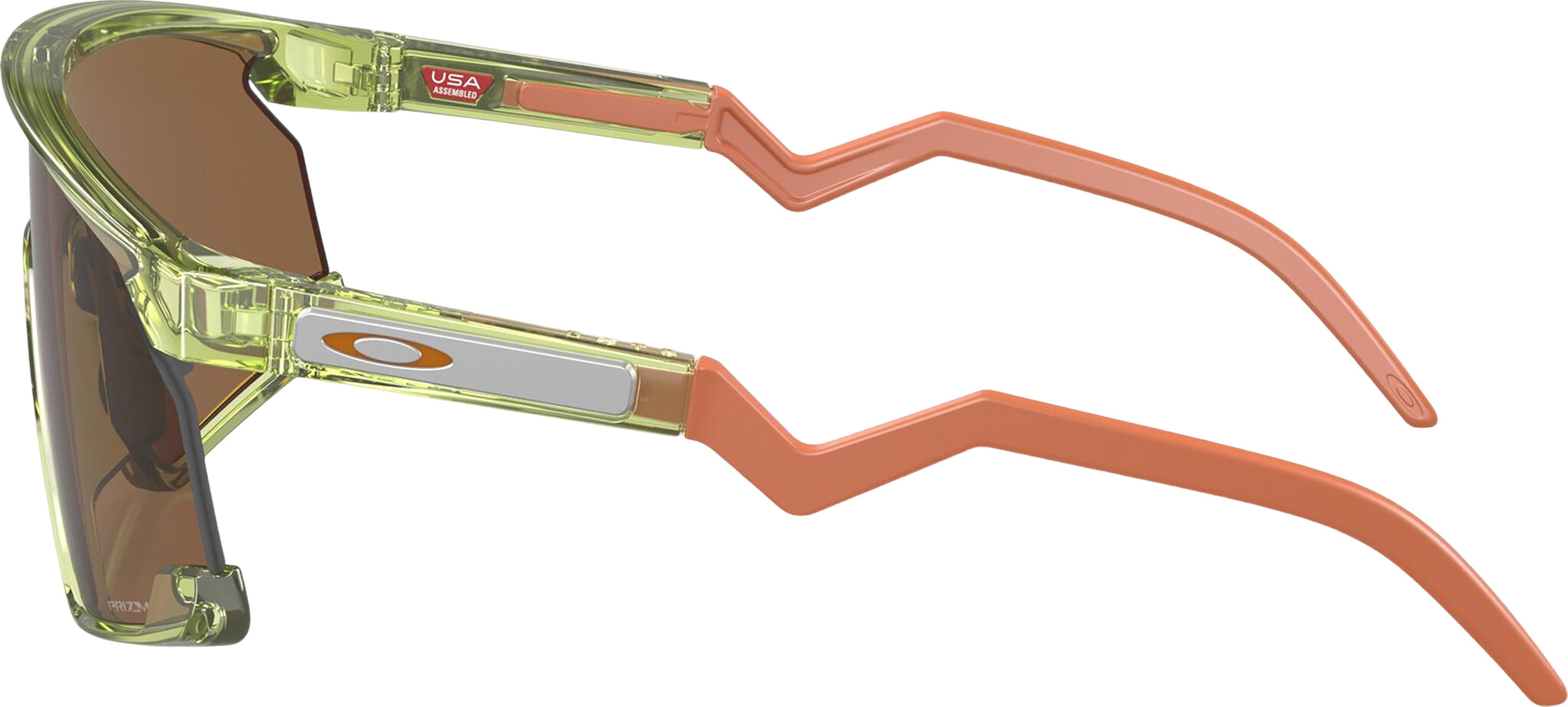 Numéro de l'image de la galerie de produits 7 pour le produit Lunettes de soleil BXTR Coalesce - Transparent Fern - Lentilles Prizm Bronze - Unisexe