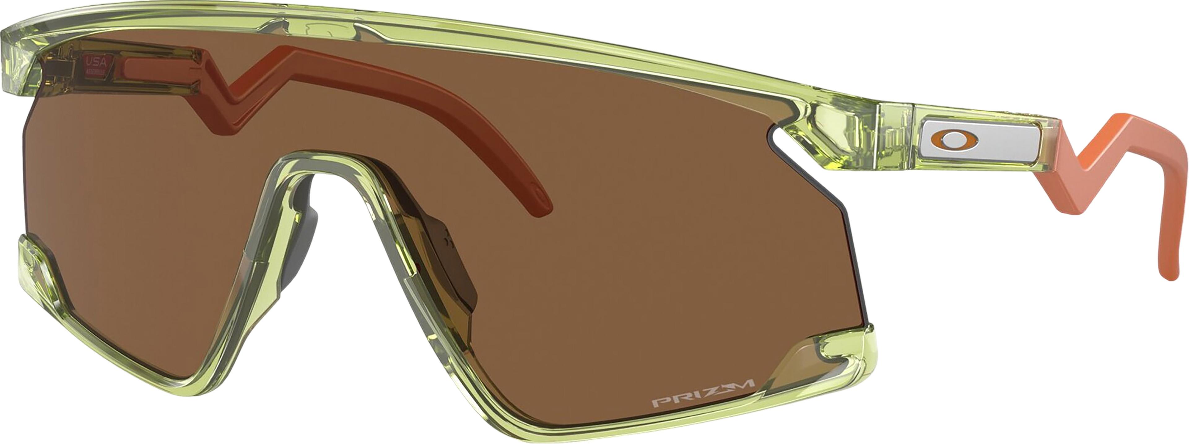Image de produit pour Lunettes de soleil BXTR Coalesce - Transparent Fern - Lentilles Prizm Bronze - Unisexe