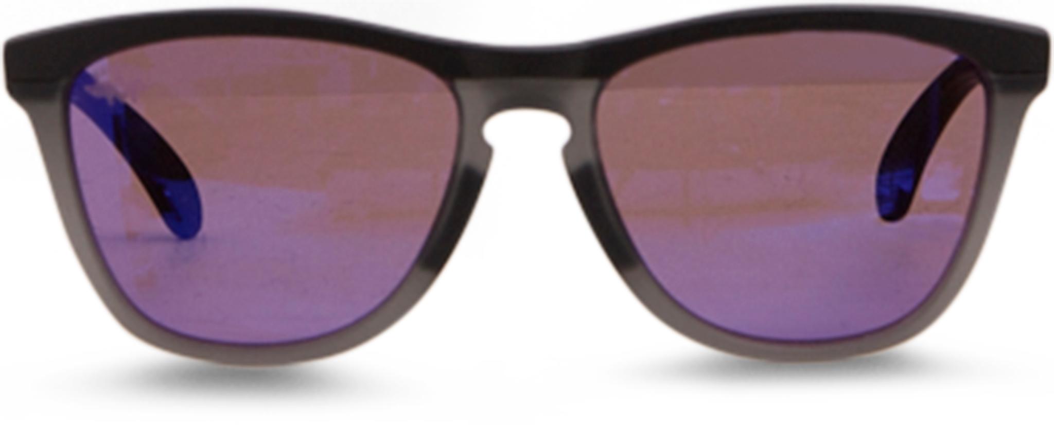 Numéro de l'image de la galerie de produits 1 pour le produit Lunettes de soleil Frogskins Range - Homme