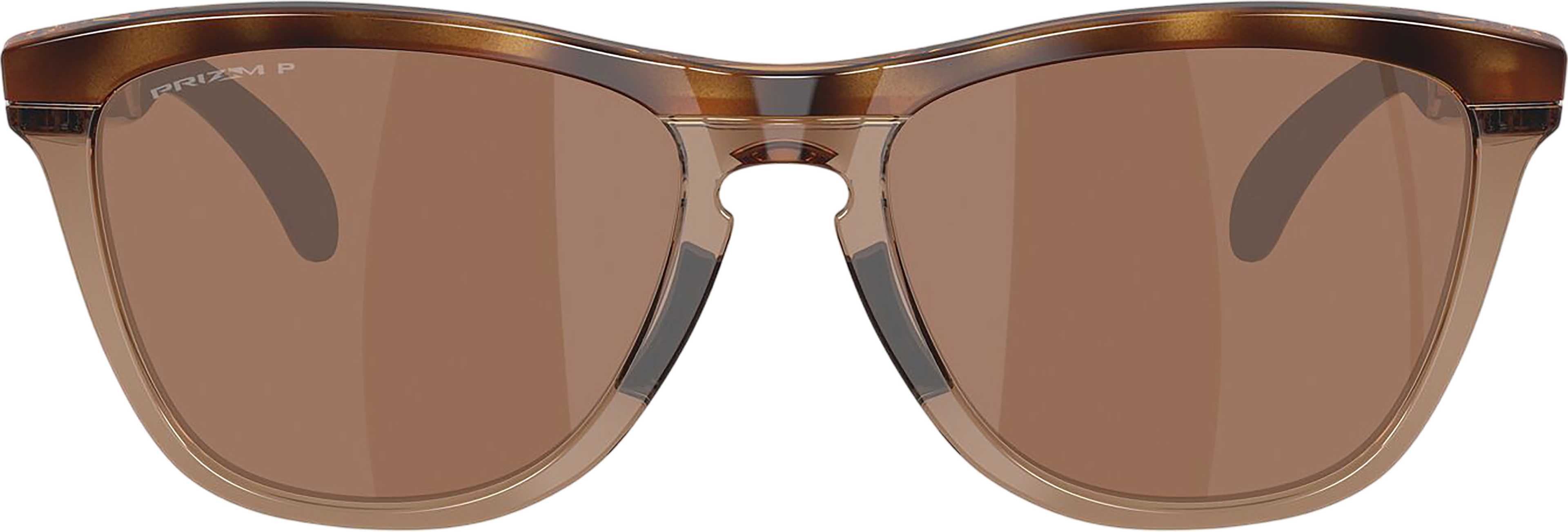 Brown Tortoise - Prizm Tungsten Polar