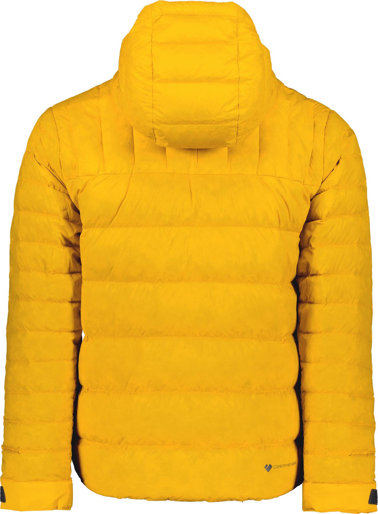 Product gallery image number 5 for product Klaus Down Hoody - Men's