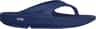 Couleur: Navy