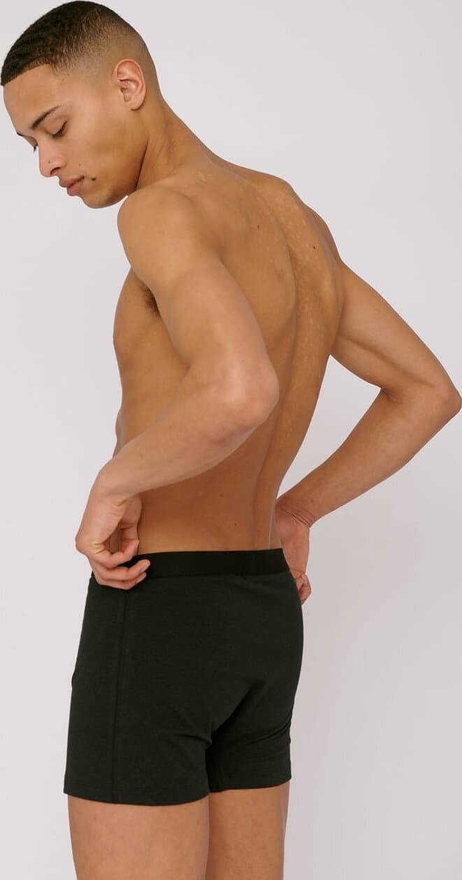 Product gallery image number 2 for product SilverTech™ Boxers 2-pack - Men's