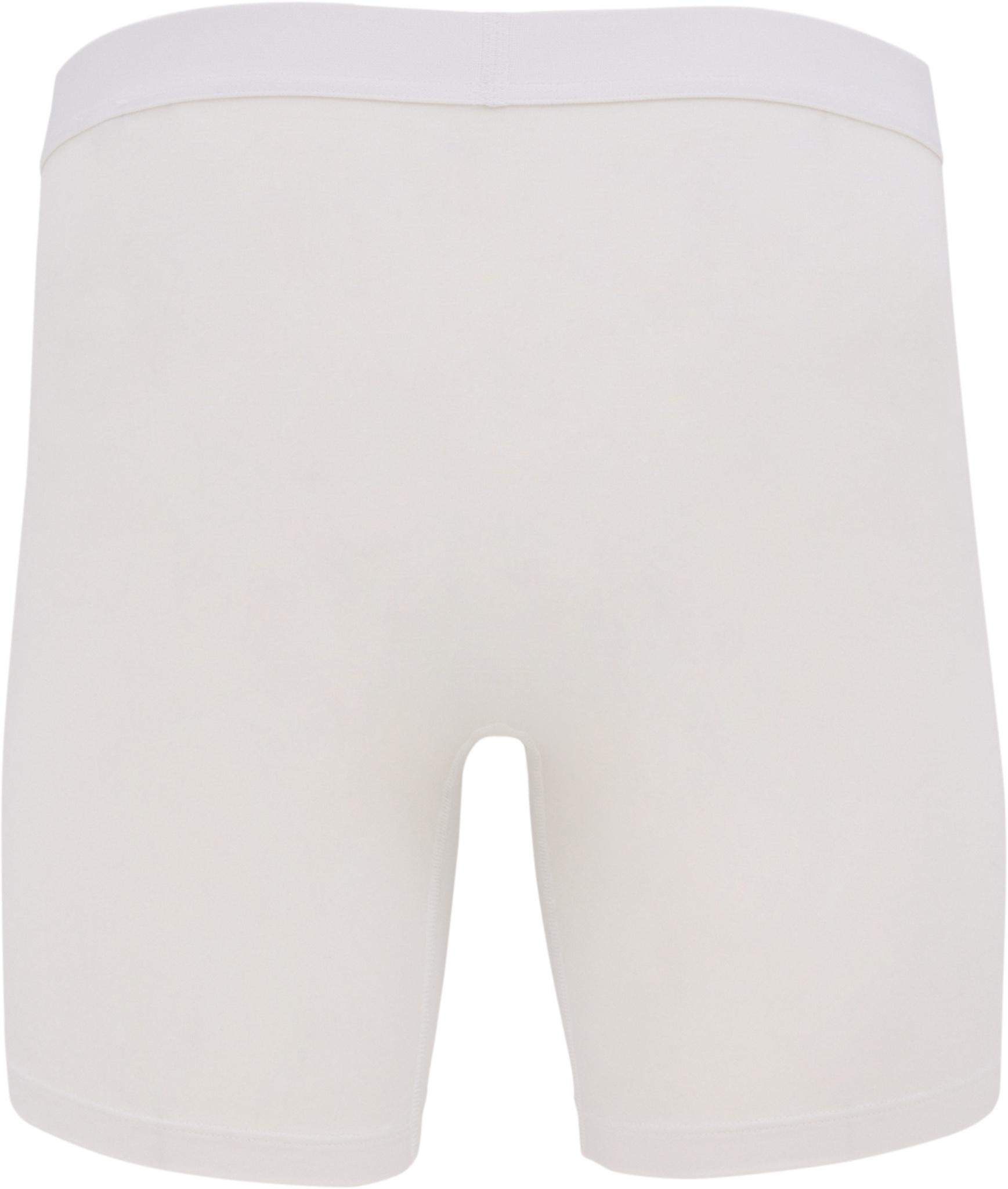 Numéro de l'image de la galerie de produits 4 pour le produit Boxeurs Premium Ensemble de 3 - Homme