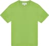 Colour: Artichoke