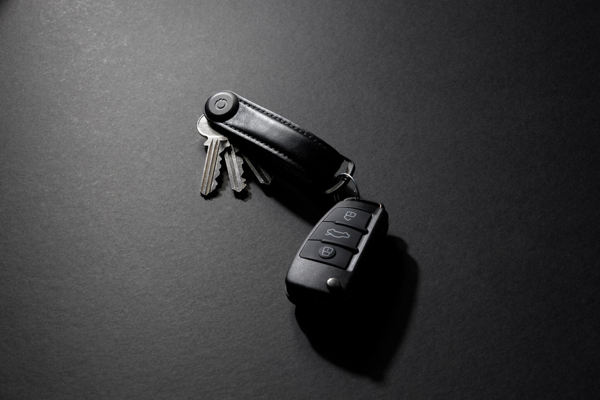 Product gallery image number 4 for product Leather Key Organiser