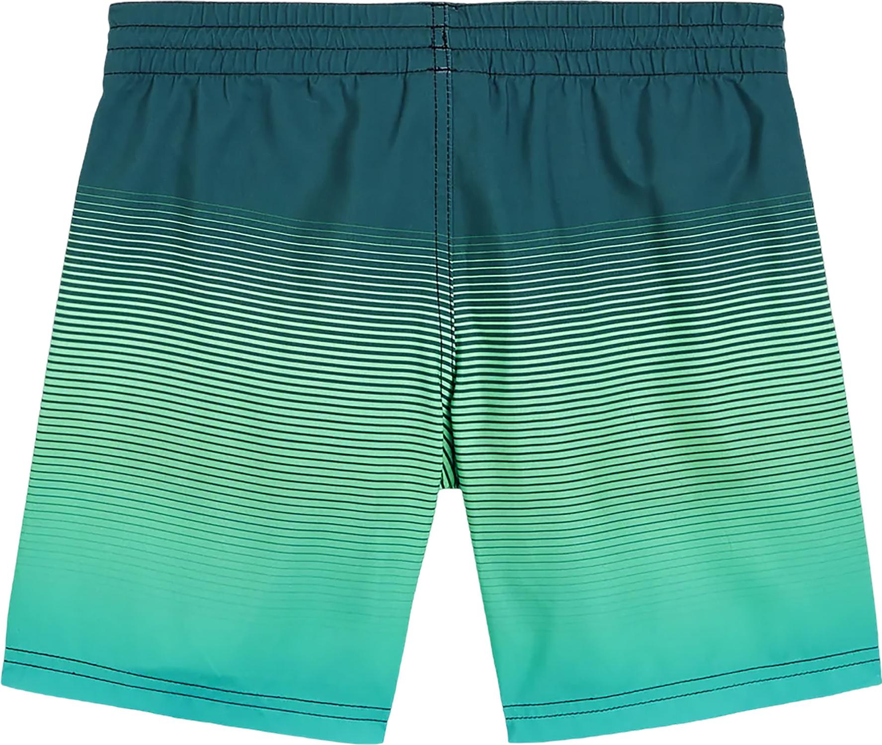 Product gallery image number 2 for product Cali Gradient Volley Swim Shorts 14" - Boys
